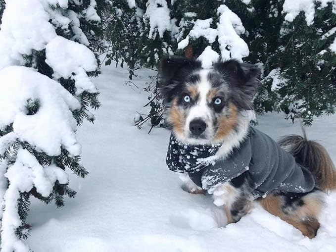 Gooby Stretch Fleece Vest Dog Sweater - Gray, 2X-Large - Warm Pullover Super Stretchy Fleece Dog Jacket for Small to Large Dogs