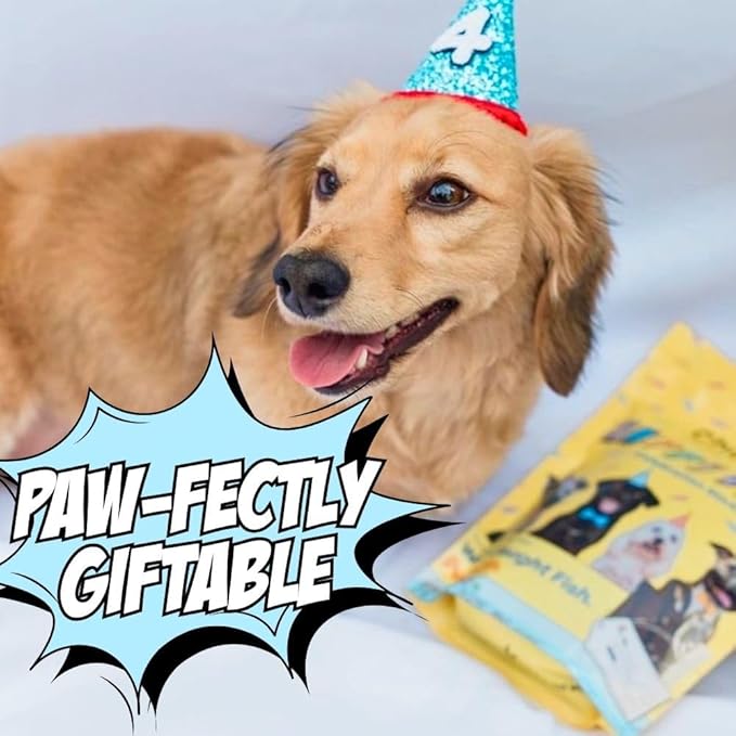 Chippin Dog Birthday Soft Treat, Great Gift, Wild-Caught Fish, Pumpkin Jerky for Dogs, No Chicken, Grain-Free, Hypoallergenic | Made in USA