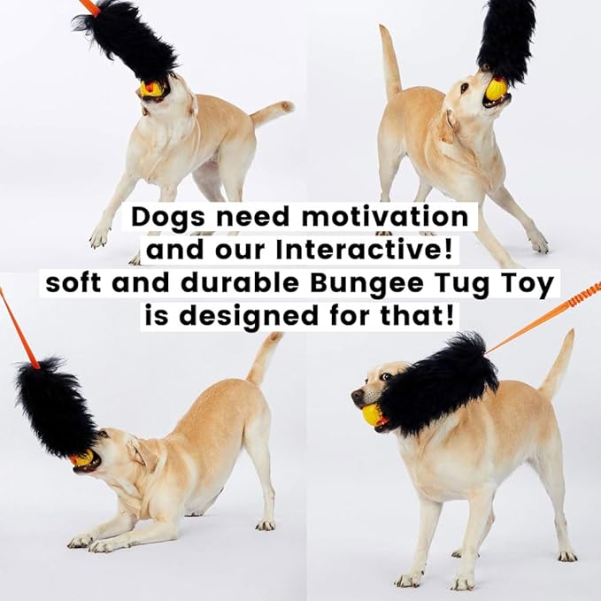HOWGO Dog Rope Toy,Dog Bungee Chaser Toy 100% Sheepskin,Sheep Smell Tug Toy for All Breeds (Purple, Long Without Ball)
