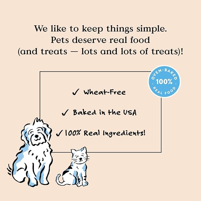 Bocce's Bakery Spiced Cider All-Natural Soft & Chewy Halloween Dog Treats - Wheat-Free Everyday Cookies for Dogs, Made with Real Ingredients & Baked in The USA – Apple & Cinnamon Flavored (6 oz Bag)