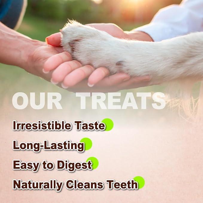 AFreschi Turkey Tendons for Dogs, USA-Sourced, Healthy Dog Treats, Rawhide-Free Puppy Chews, Long Lasting, All Natural, Hypoallergenic Dog Treats for Large Breeds, 1 Count Pack Rope (L)