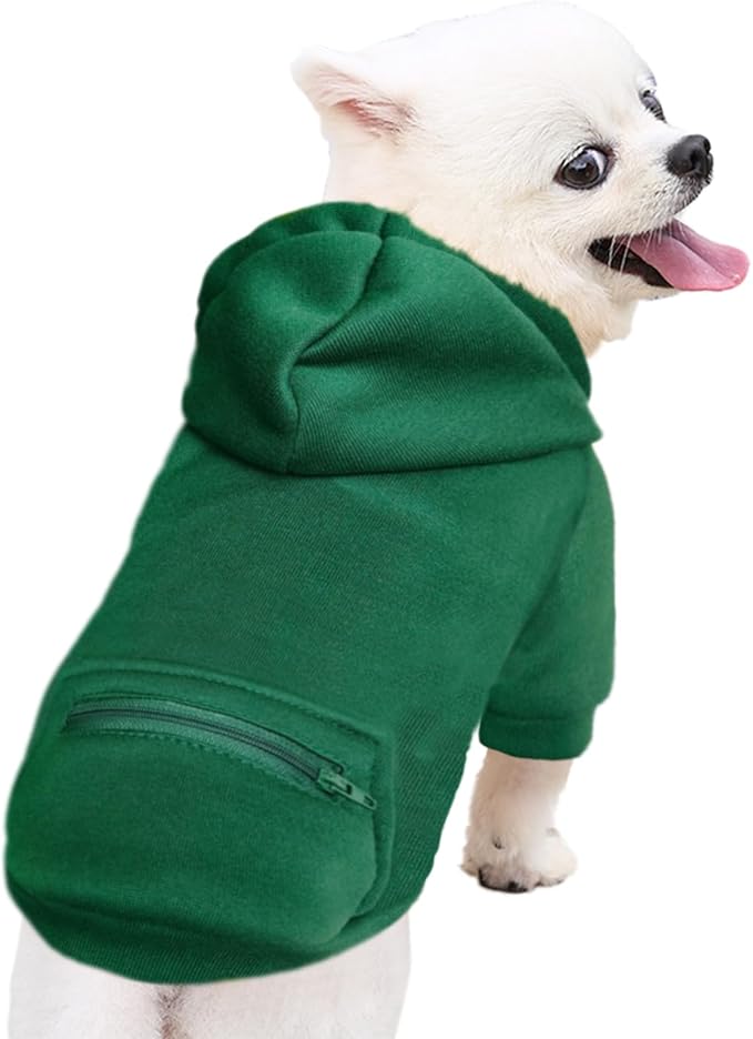 Jecikelon Pet Dog Cold Weather Coat with Pocket Winter Dog Hoodie Warm Puppy Clothes for Small Dogs Chihuahua Clothing (Green, X-Small)