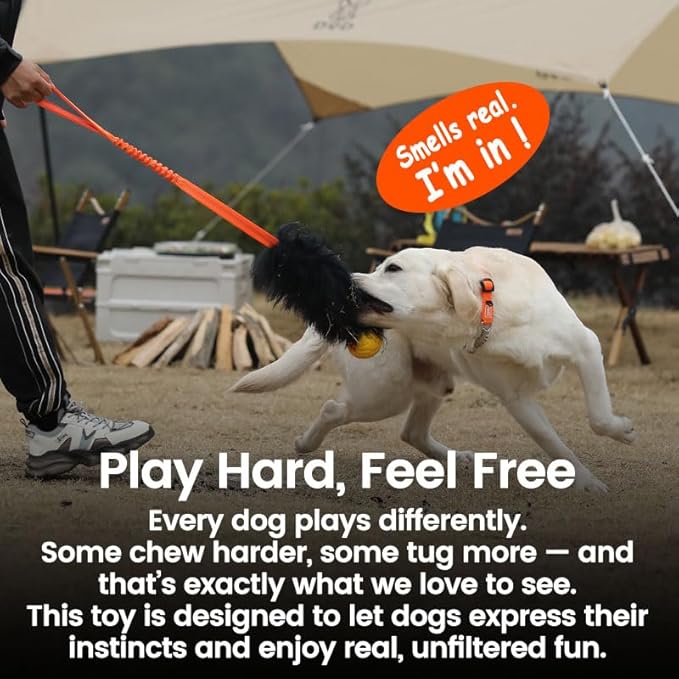 HOWGO Dog Rope Toy,Dog Bungee Chaser Toy 100% Sheepskin,Sheep Smell Tug Toy for All Breeds (Orange, Short Without Ball)