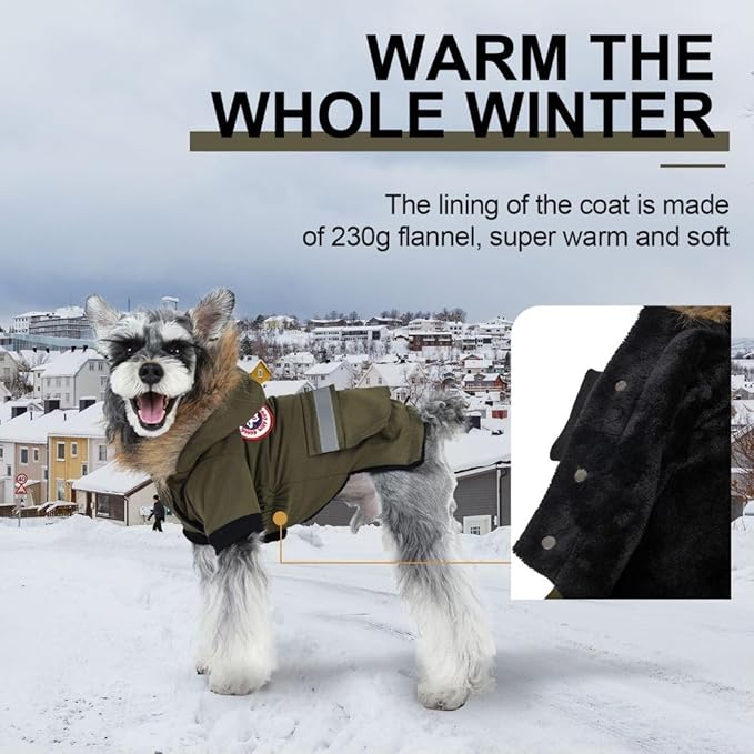 PINA Dog Coats for Small Dogs - Waterproof, Warm Winter Jacket with Faux Fur Hood and Pocket