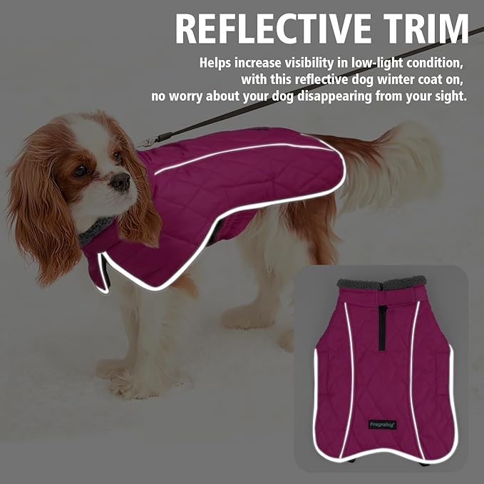 Fragralley Dog Coat Small, Waterproof Dog Jacket with Warm Fleece Lining, Adjustable Reflective Dogs Winter Coat, Turtleneck Pet Coats for Cold Weather (Rose Pink S)