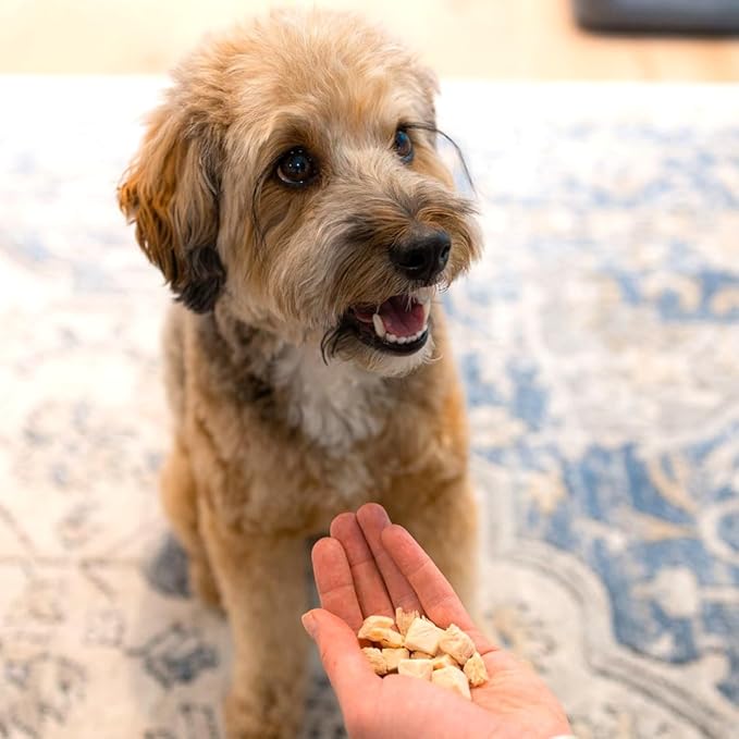 Pupford Freeze Dried Chicken Breast Treat for Dogs & Puppies - Healthy, Natural, Single Ingredient Dog Treats - Made in USA (5.75 oz)