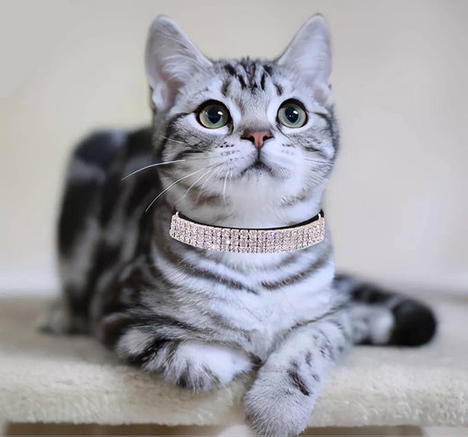 THAIN Rhinestones Cat Dog Collar Soft Velvet Safe Adjustable Collar Bling Diamante with Bells, 8-11 inch for Small Dogs and Cats (Black)