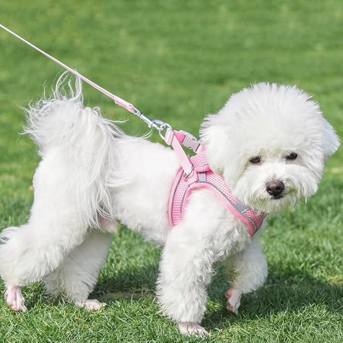 AIITLE Step in Dog Harness and Leash Set - Summer No Pull Escape Proof Vest Harnesses with Soft Mesh and Reflective Bands, Adjustable Pet Outdoor Harnesses for Small and Medium Dogs Pure Pink M
