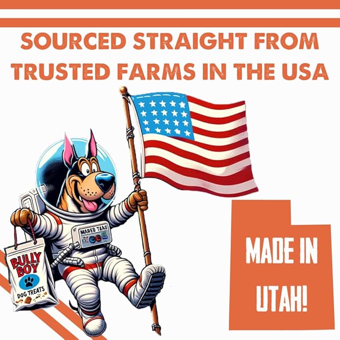 Bully Boy's Famous Beef Sticks Dog Treats | Free from Wheat, Corn, Soy, or Gluten | USA Sourced Ingredients | with Smokehouse Beef | Made in Utah | 7 oz - 1 Pack