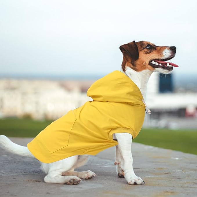 Dog Raincoat rain Jacket Dogs Waterproof fit for Small Medium Breeds Zipper Closure Pocket Storage in Cold Day - Yellow - L