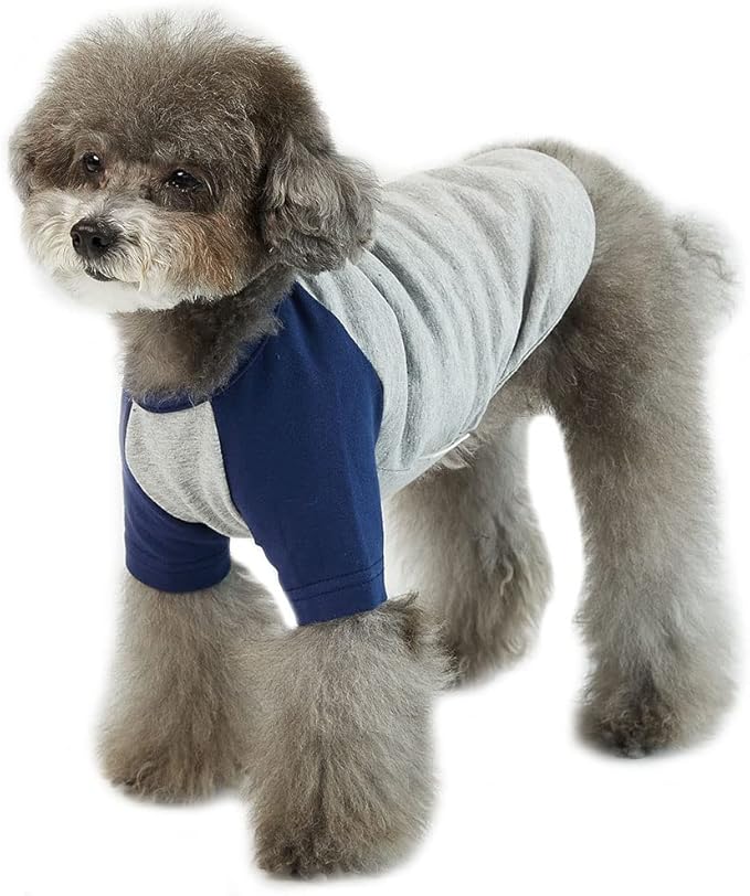 Dog T-Shirt (Raglan) - Gray/Navy, X-Small, Cotton, Breathable, Lightweight