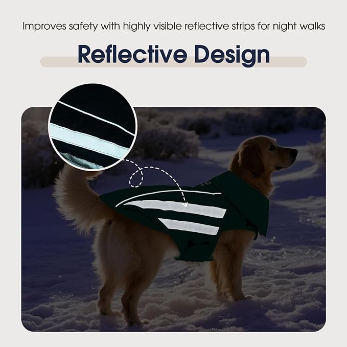 IECOii Dog Winter Coat - Waterproof & Windproof & Reflective Coats, Adjustable & Fleece Lined Snow Jacket for Pitbull Outdoor Adventures, Green, Sizes XL