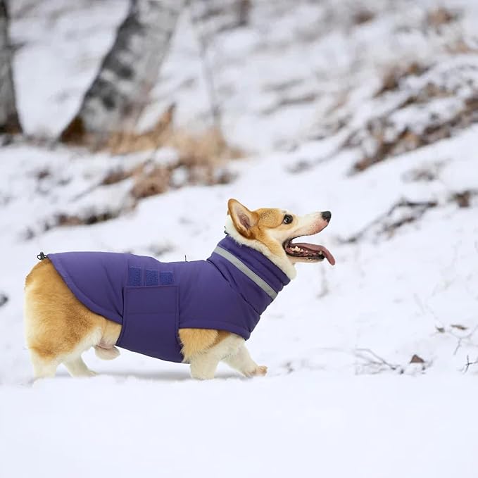 Dog Coat, Waterproof Winter Jacket, Warm Windproof Puffer Jacket, Reflective Adjustable Turtleneck Coats for Small Dogs with Hook & Loop - Purple - S
