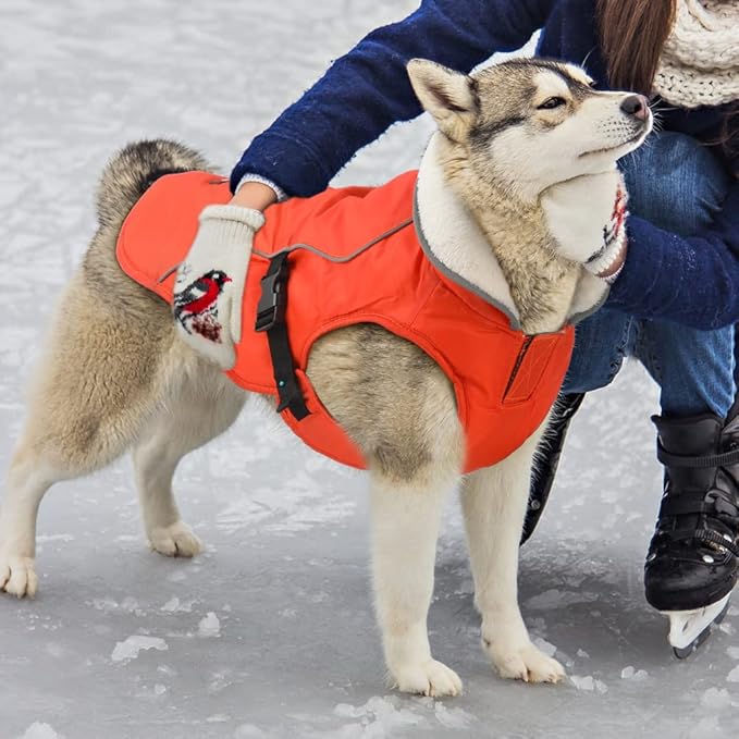 EMUST Dog Jacket Winter, Cozy Windproof Dog Jacket for Cold Weather, Solid Color Pet Vests for Winter for Medium Dogs, Orange, M