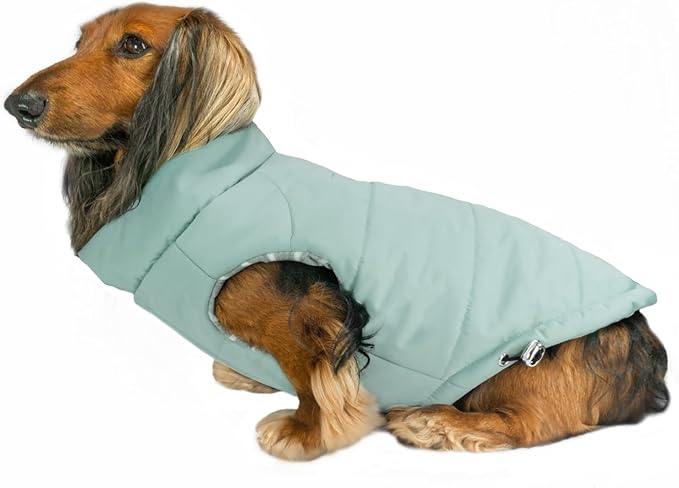 DJANGO Puffer Dog Coat – Warm Winter Dog Jacket & Water-Repellent Insulated Puffer Vest with Striped Lining, Harness Hole, Adjustable Fit for Small & Medium Dogs, Dachshunds – Sea Foam Green, Small