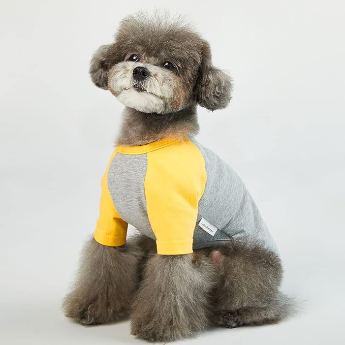 Dog Shirt for Small and Large Dogs, Soft Breathable Cotton T-Shirt, Gray/Yellow, X-Small