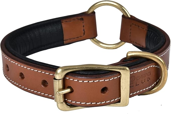 | Genuine Leather Adventure Dog Collar | Full Grain, Heavy Duty | with Inner Cushioned Padding | Best for Medium, Large & XL Dogs (X-Large (Fit Neck Size 22"-26"), Brown with Center O Ring)