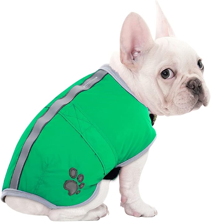 Queenmore Dog Winter Coat, Cold Weather Fleece Jacket for Dogs, Waterproof Reflective Reversible, for Small, Medium and Large Dogs (Green, XL)