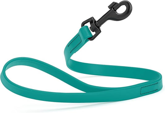 Dogline Biothane Waterproof Dog Leash Strong Coated Nylon Webbing with Black Hardware Odor-Proof Easy to Clean High Performance for Small or Large Dogs Made in USA 2 ft Lead, Blue Aqua