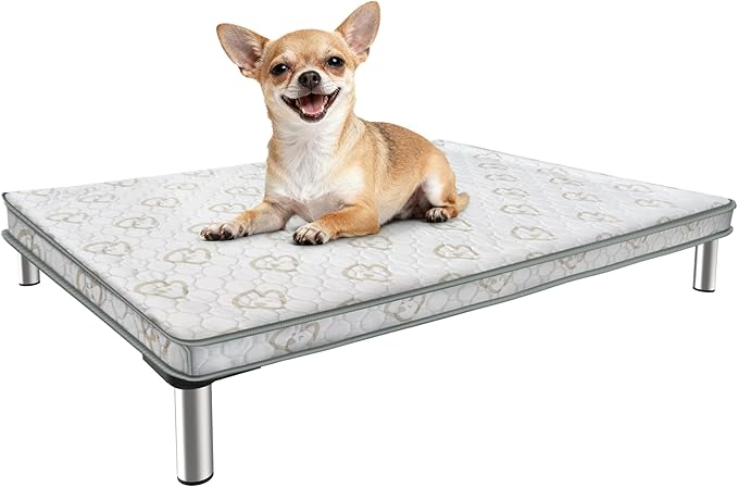 FXW TitanNest Chew-Proof Elevated Dog Bed, Raised Cot for Indoor/Outdoor/Camping Use, Durable & Washable Padded Pet Bed with Exclusive Cover for Toy Dogs, 23.0" L x 17.0" W x 4.5" H, Black