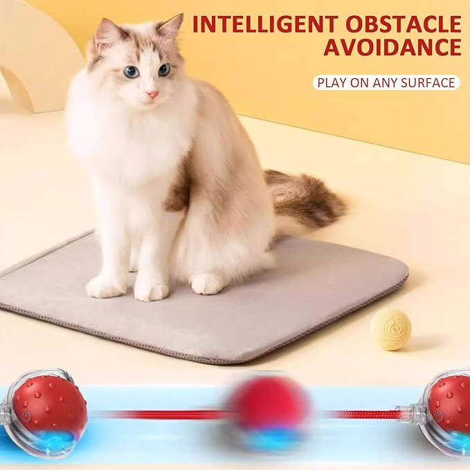 Dog Toy, 360° Rolling Interactive Ball Cat Toy with Realistic Bird Chirping Sounds, Fast Moving Balls Toys for Pets | Automatic Obstacle Avoidance, Rechargeable, Tough (Red+Blue)