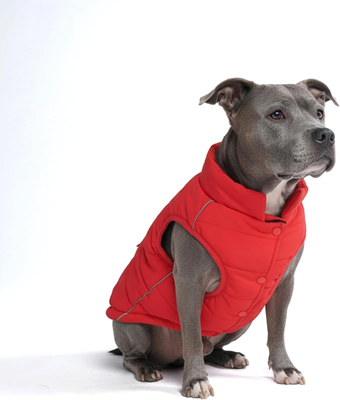 Spark Paws Dog Winter Jacket, Water-Resistant Coat, Warm Reflective Windproof Fleece-Interior, for Medium and Large Dogs - Red - 3XL