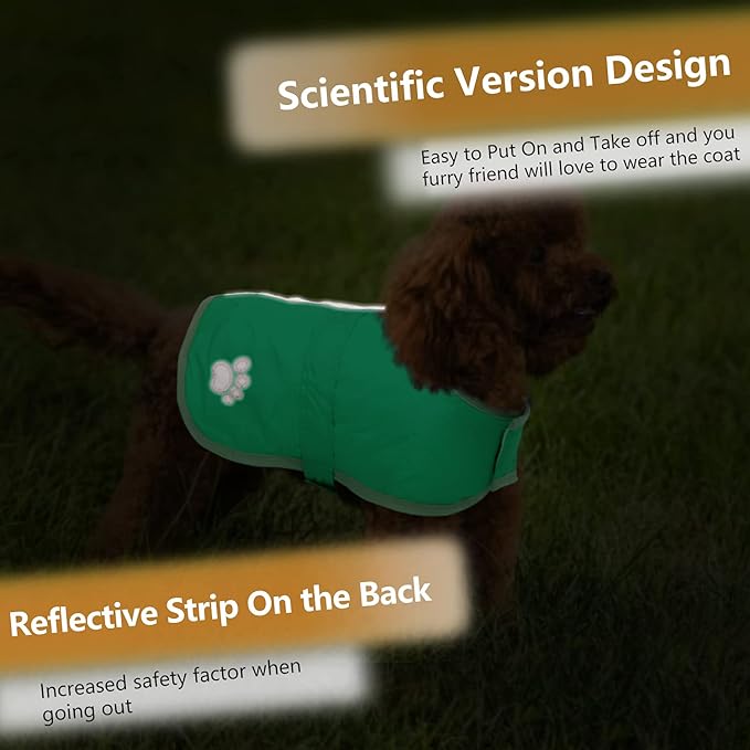 Queenmore Dog Winter Coat, Cold Weather Fleece Jacket for Dogs, Waterproof Reflective Reversible, for Small, Medium and Large Dogs (Green, XS)