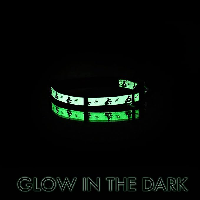 Pawtitas Pet Glow In The Dark Cat Collar with Safety Buckle and Bell Pink Lucky
