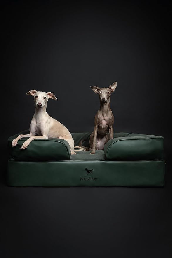 NOAH & PAW Large Dog Bed, 35x25x11 Inch, Orthopedic Dog Beds, Eggshell Memory Foam Infused with Cooling Gel, Inner Cover, Waterproof, Machine Washable (Faux Leather Sofa Collection)