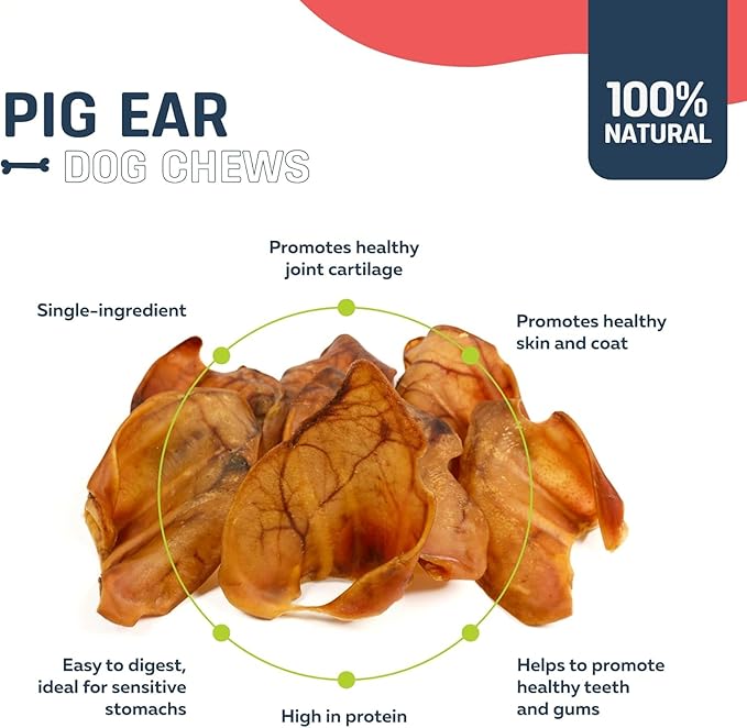 Big Lu – Pig Ear Dog Chews, 30 Count, All-Natural Single-Ingredient Pork Treats, Easily Digestible, Supports Joint Health with Glucosamine and Chondroitin