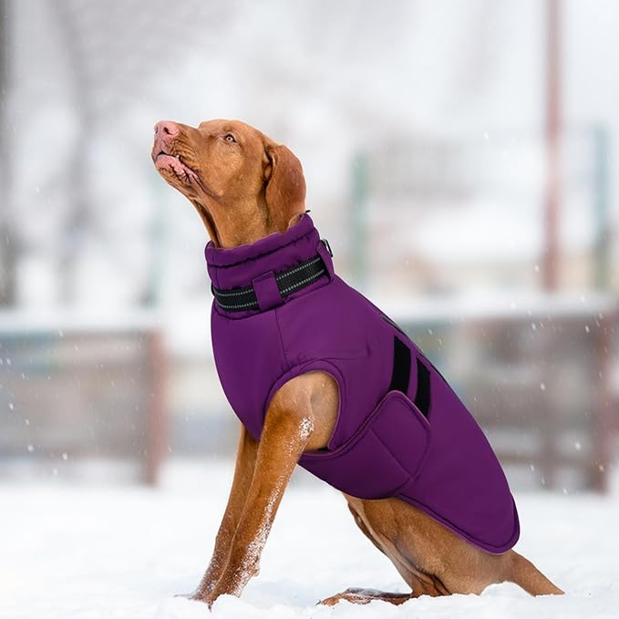 IECOii XXXL Dog Coat for Large Dogs Waterproof Dog Jacket with Collar Built in, Reflective Winter Jacket with Fleece Lined Warm Cold Weather Coats for Extra Large Dogs, Great Dane, Purple - 3XL