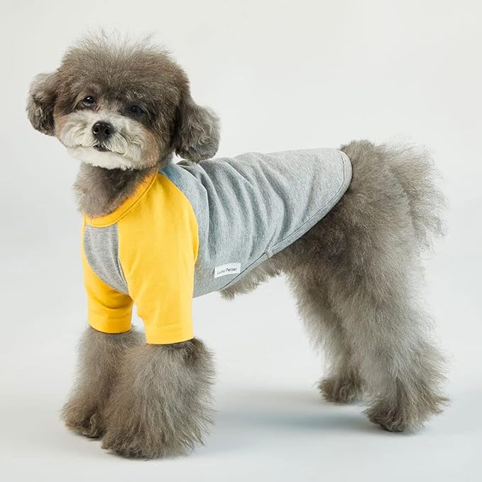 Dog Shirt for Small and Large Dogs - Cotton T-Shirt - Gray/Yellow - Medium