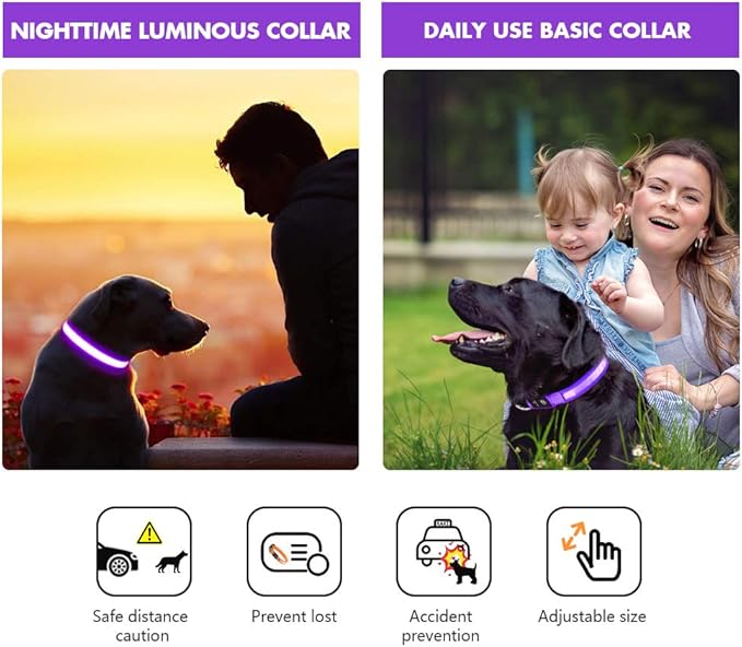 MASBRILL LED Dog Collar - Rechargeable Glow Flashing Purple, Waterproof - 4 Colors, 3 Sizes for Small to Large Dogs (L: 23.62")