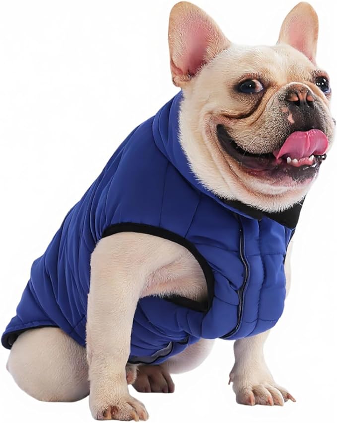 PetWarm Reversible Dog Cold Weather Coats, Waterproof Dog Puffer Vest, Vest for Dogs with Hook-and-Loop Strap, Windproof Outdoor Coat for Winter Walks and Snowy Days, Blue, XL