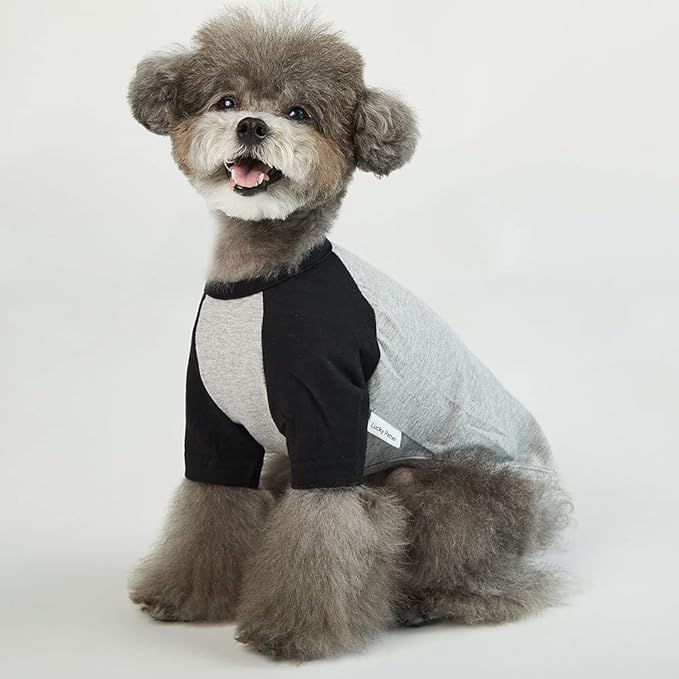Dog Shirt for Small and Large Dogs Raglan Cotton T-Shirts Soft Breathable Dog Shirts pet Clothes Gray Series (Medium, Gray/Black)