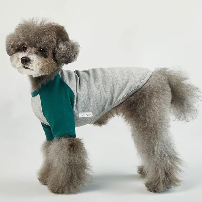 Dog Shirt for Small and Large Dogs Raglan Cotton T-Shirts Soft Breathable Dog Shirts pet Clothes Gray Series (Small, Gray/Green)
