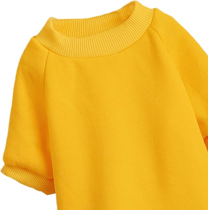 Puppy Sweater for Small Dogs Clothes Warm Winter Cat Clothe Pet Sweatshirt Knitwear Doggie Kitten Clothing, Yellow, Large