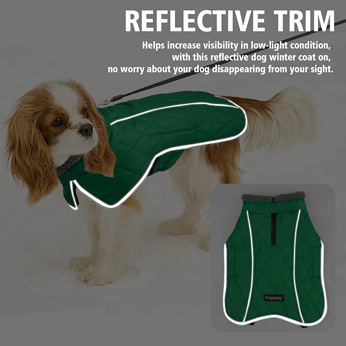 Fragralley Dog Coat Large, Waterproof Dog Jacket with Warm Fleece Lining, Adjustable Reflective Dogs Winter Coat, Turtleneck Pet Coats for Cold Weather (Green XXXL)