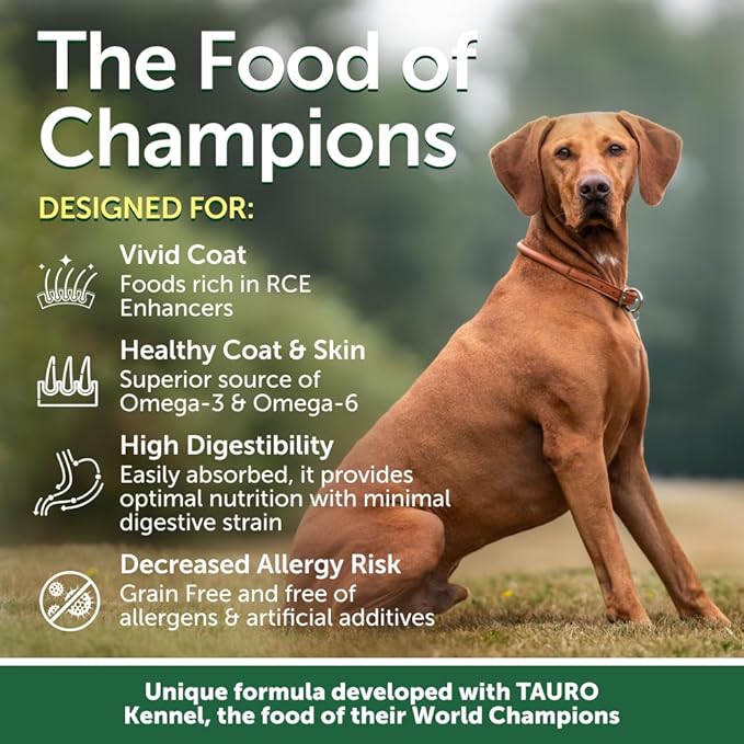 Nature's Protection Dry Dog Food for Small Breed - High Protein, Grain Free, Tear Stain Formula - Dog Kibble for Puppy & Adult Dogs with Red Fur (Superior Care - Lamb, 3.3 lb)
