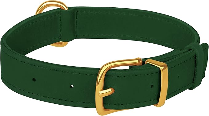 Leather Dog Collar - Heavy Duty Adjustable Soft Padded Pet Collars for Small Medium Large Dogs Breed - Black Green Brown Pink Red Blue (Green, L, 15"-19" Neck Fit)