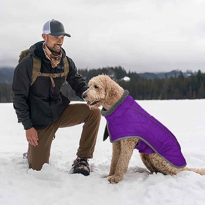 Fragralley Dog Coat Large, Waterproof Dog Jacket with Warm Fleece Lining, Adjustable Reflective Dogs Winter Coat, Turtleneck Pet Coats for Cold Weather (Purple XXXL)