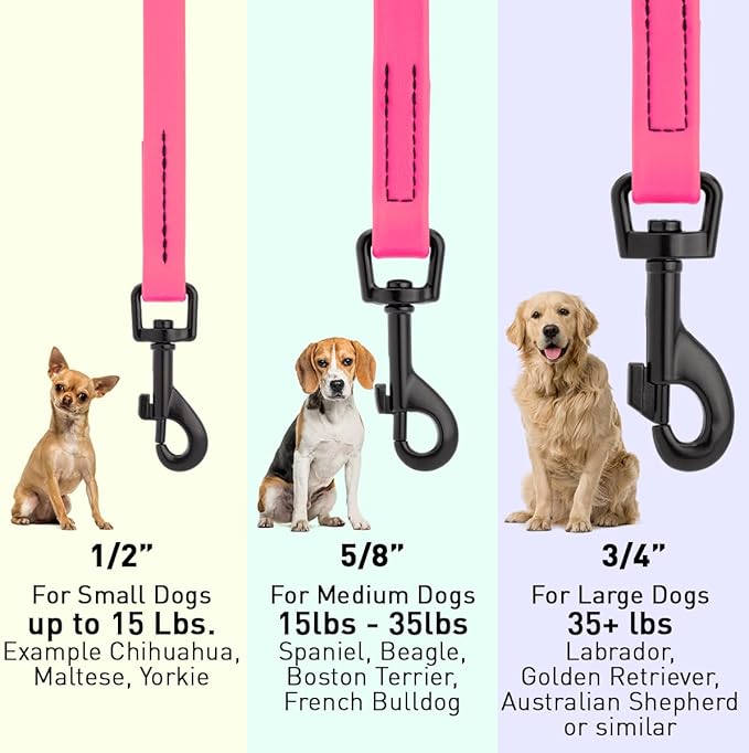 Dogline Biothane Waterproof Dog Leash 2/4/6 Ft Strong Coated Nylon Webbing with Black Hardware Odor-Proof Easy to Clean High Performance for Small or Large Dogs Made in USA, Passionfruit Pink