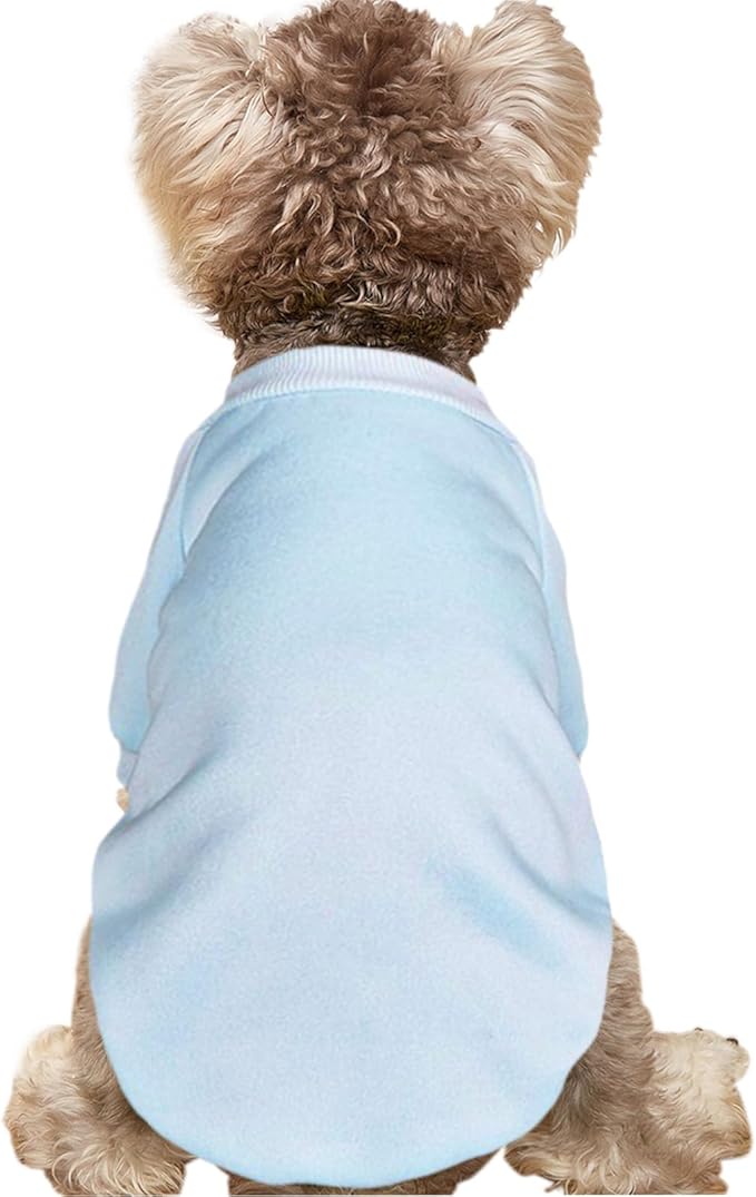 Puppy Sweater for Small Dogs Clothes Warm Winter Cat Clothe Pet Sweatshirt Knitwear Doggie Kitten Clothing, Light Blue, Medium