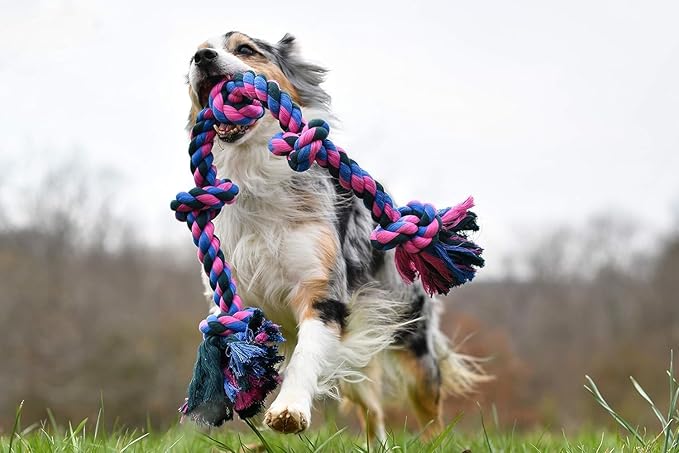 Mammoth Flossy Chews Color 3 Knot Rope Tug – Premium Cotton-Poly Rope Tug Toy for Dogs – Interactive Rope Dog Toy 20" - 2 Pack Assorted Colors