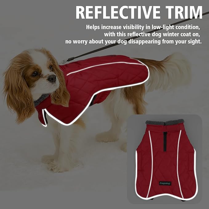 Fragralley Dog Coat Small, Waterproof Dog Jacket with Warm Fleece Lining, Adjustable Reflective Dogs Winter Coat, Turtleneck Pet Coats for Cold Weather (Red S)