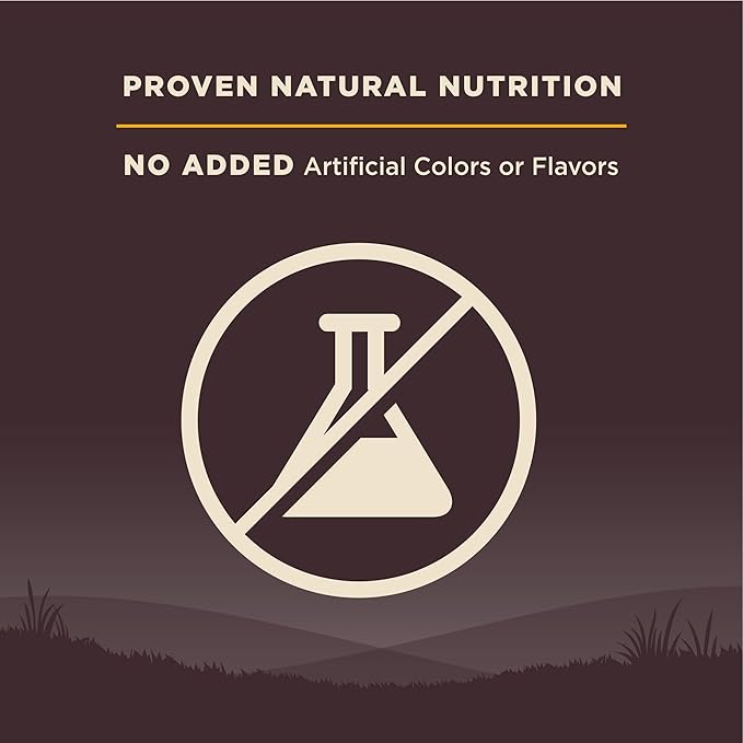 Wellness CORE Puppy Dry Dog Food, Grain-Free, High Protein, Natural, Chicken & Turkey Recipe, (12-Pound Bag)