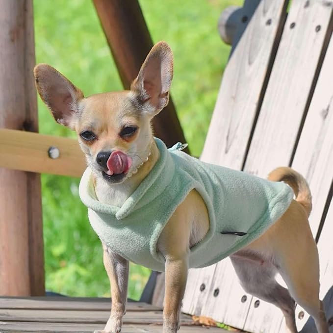 JACKO & CO - Fleece Vest Dog Sweater with Leash Ring - Soft, Warm & Lightweight Pullover Coat for Small & Medium Dogs, Puppies & Cats - Cozy Fall/Winter/Spring Pet Jacket (Mint Green, Small 4-6lbs)