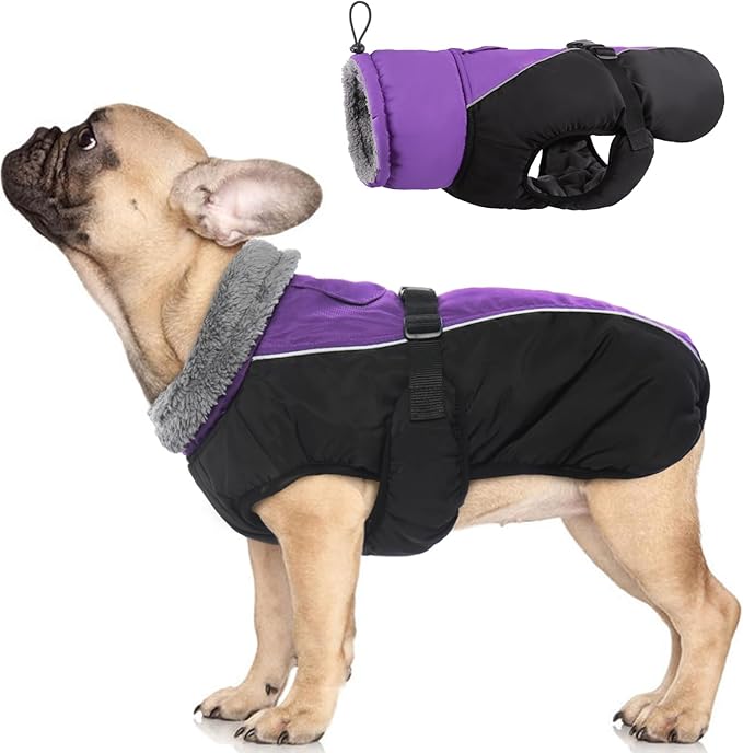 IDOMIK Dog Winter Coat, Reflective Waterproof Dog Jacket for Cold Weather, Warm Pet Coats for Small Medium Large Dogs, High Collar Doggy Fleece Snow Jacket, Winter Vest with Adjustable Buckle,S