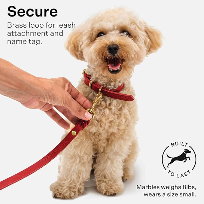 Classic Genuine Leather Dog Collar | Dog Collars for Medium Dogs, Small Dogs, Large Dogs & Extra Large Dog | Wide Dog Collar | Heavy Duty Collar (Red, XX Large)