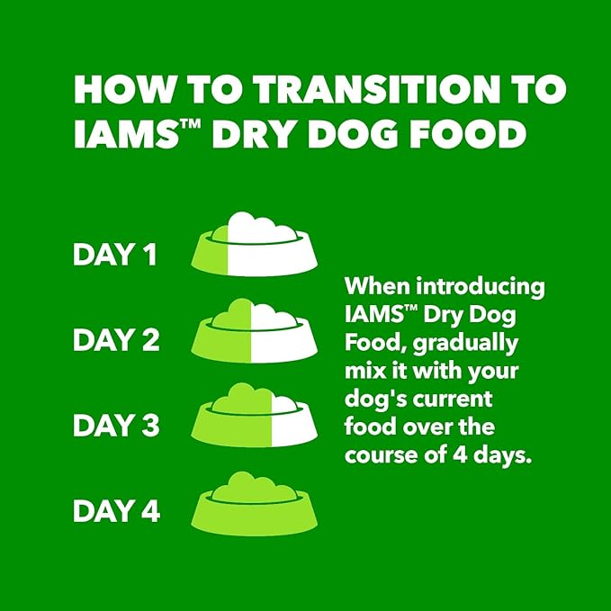 IAMS Proactive Health Large Breed Adult Dry Dog Food Lamb & Rice Recipe, 15 lb. Bag